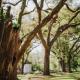 The Myrtles, Saint Francisville (fotografie 5)