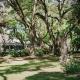The Myrtles, Saint Francisville (fotografie 6)