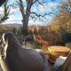 Burren Glamping Dome - 1 bed lux stay pets welcome, Boston (fotografie 4)