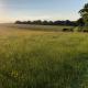 Goodwin Farm, Northiam (fotografie 7)