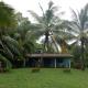 Mangrove villa - Yoga & Ayurveda, Bentota (foto 7)
