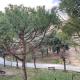 Linda House2, Pescara (foto 4)