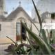Trullo Cometa, Alberobello (Foto 7)