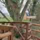 Riding Gate Lodge, Charlton Musgrove (fotografie 9)