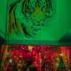 Pachamama Hostel, ジャイプール - 写真 9