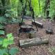 Foxes Hollow - Woodland Cabin - Alfriston - Foto 6