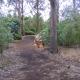 Posto Bello, North Loburn (Foto 10)