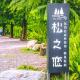 The Pines, Xinshe (foto 4)