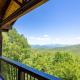 Beech Mountain Vista, Бич-Маунтин (фото 3)