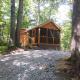 Two Rivers Cabins - The Mountaintop, Brevard - Fotografie 1