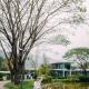 18Villa 3 Bedrooms Mountain View, Pong Yaeng (fotografie 5)