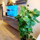 Galaxy Apartments, Słupsk (foto 4)