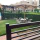 Marsilia blue bay, Ain Sokhna - Photo 7