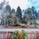 MountForest, Shoreline (Foto 5)