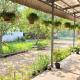The Purple House, Siem Reap (foto 3)