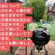 手ぶらBBQ 京成佐倉駅徒歩6分 生ビールあり 庭600平米 貸切宿泊4LDDK 駐車場3台無料, Sakura - Fotografie 10