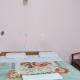 Hotel Atul Regency Narkanda, Rāmpur - Fotografie 3
