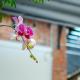 Chi Homestay #4, Hue (zdjęcie 9)