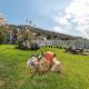 Artemis Seafront Stone Studio, Petres (fotografie 9)
