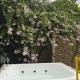 VILLA ALEJANDRA - Hermosa FINCA cerca al centro - Sendero - Jacuzzi Popayán - Zdjęcie 10