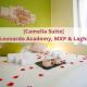 [Camelia Suite] Leonardo Academy, MXP & Lakes, Sesto Calende - Foto 1