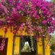 Bao Dien Guesthouse, Bao Loc (fotografie 7)