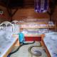 Camping & Apartmens Scepanovic, Mojkovac (foto 7)