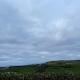 Carnside Lodge, Aird (foto 7)