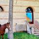 Medieval Relais - Top location, Montagnana (foto 2)
