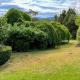 Beautiful 1960s home in historic Yackandandah, Yackandandah (fotografie 6)