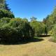Beautiful 1960s home in historic Yackandandah, Yackandandah (fotografie 7)