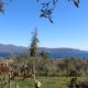 Relax in the Olive Grove Toscolano-Maderno - Foto 5