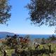 Relax in the Olive Grove Toscolano-Maderno - Foto 6
