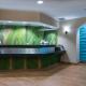 SpringHill Suites by Marriott Greensboro - Foto 2