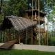 VanaJyotsna Forest Home, Marayoor - 写真 5