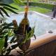 LA VILLA DE SENY , villa de charme avec jardin ,Piscine nature, jacuzzi , petanque, fitness, billard,ping pong,, Seny (fotografie 4)