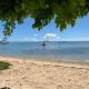Luxury beachfront villa with private pool - Jolly's Rock, Calodyne (fotografie 3)