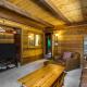 Rustic Modern Cabina De Alba, Groveland - Fotografie 9