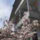 Villa Rosen - Ferienwohnungen, Bad Reichenhall - Photo 10