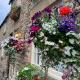 Borough Beck Cottage, Helmsley (fotografie 5)