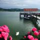 Hotel Sommerhaus Garni am See, Bodman-Ludwigshafen - Foto 3
