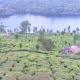 Jungle Villa Munnar, Pooppara - Photo 8