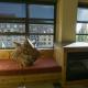 Fully Renovated Suite with Full Kitchen, Park City - Foto 6