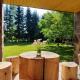 Birtok Houses - Big house with 3 bedrooms, Borzont - 照片 6