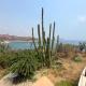 Oceanview Punta Arrocito Luxury Condo, Near Arrocito Beach, Santa Maria Huatulco (photo 7)