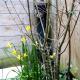 Lovely cottage in Honfleur center, Онфлёр (фото 8)