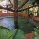 Hotel Palmera Real Hot Springs, Fortuna - Zdjęcie 6