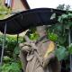 Gasthof Goldener Stern, Iphofen - Photo 9