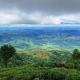 Kelburne Estate, Haputale (photo 2)