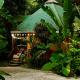 Pochote Jungle House